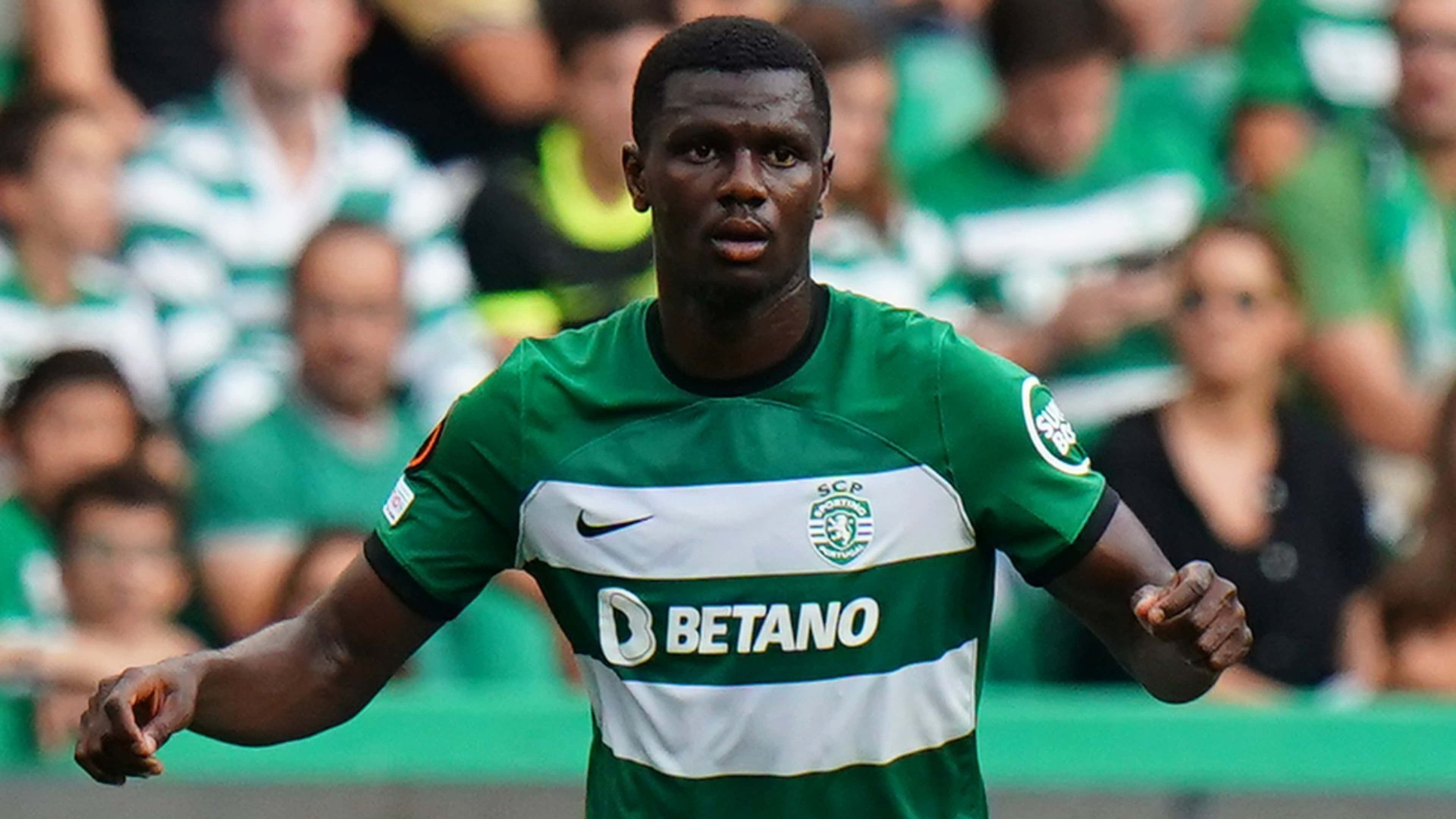 Ousmane Diomande Sporting CP 2023-24