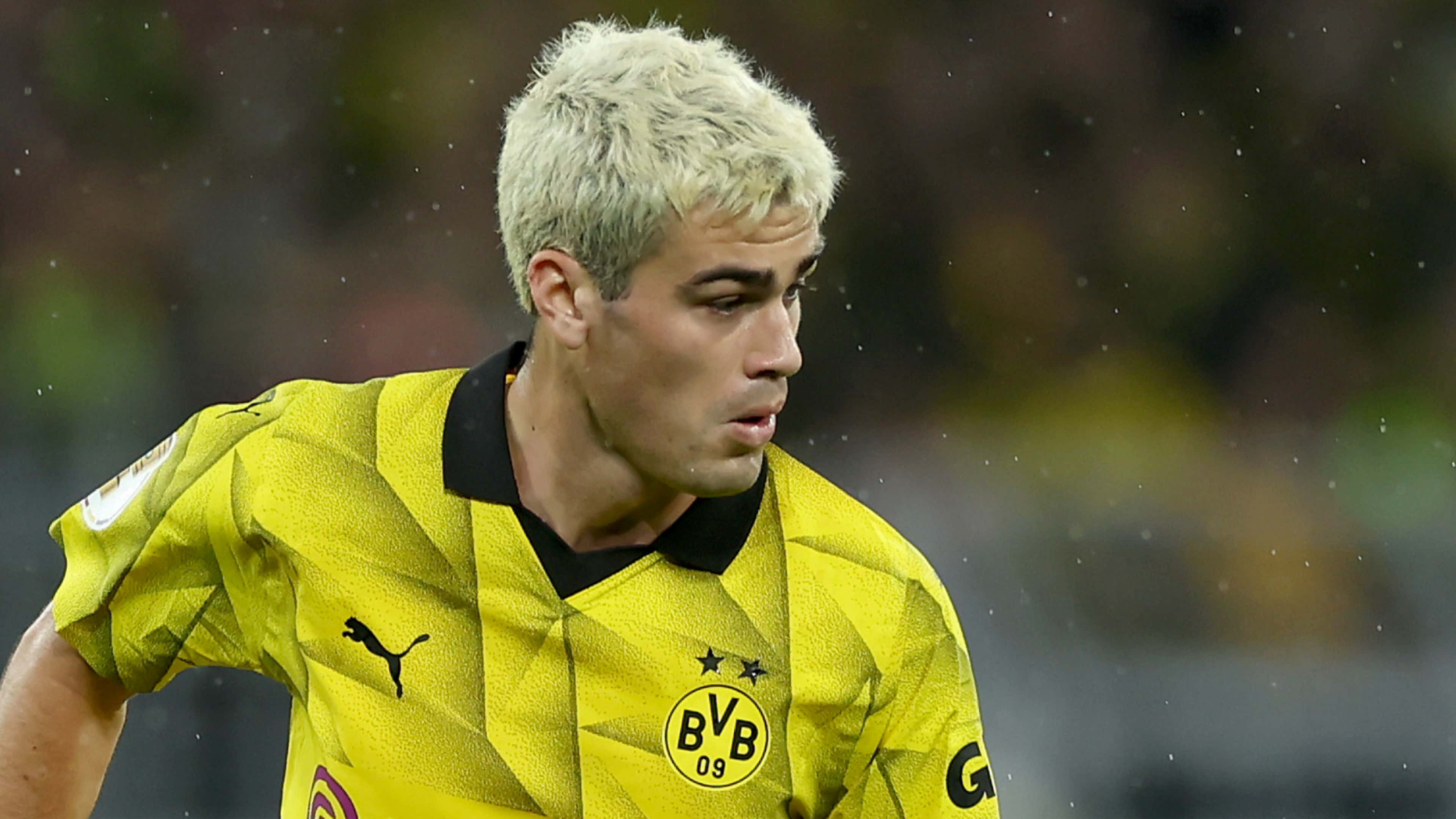 Gio Reyna Borussia Dortmund 2023-24